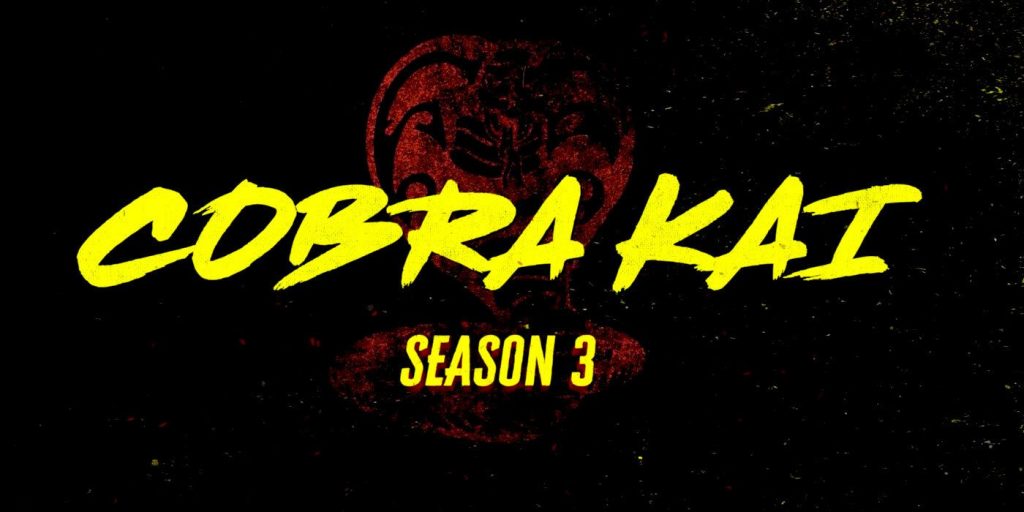 Cobra Kai Season 3: Review and Recap - The Artistree