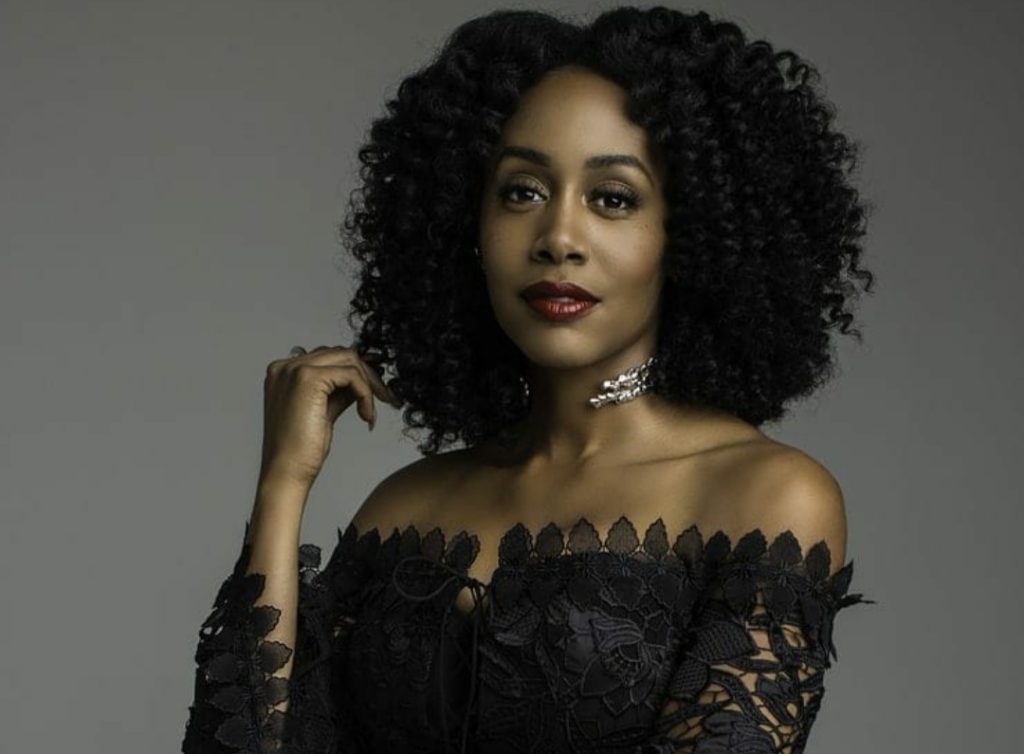 Simone Missick's Net Worth How Much Does The Actress Earn? The Artistree