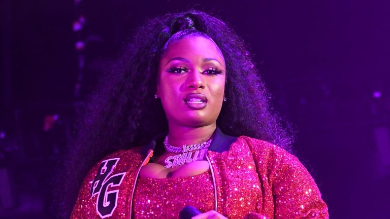 Megan Thee Stallion Net Worth: How Much This Rapper Earns? - The Artistree