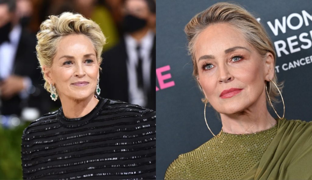 Sharon Stone Reveals Doctors Initially Missed Her Brain Hemorrhage Believing She Was Faking 9471