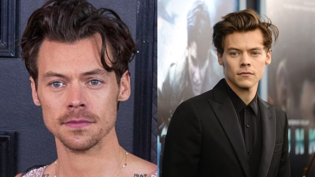 Harry Styles Debuts Shaved Head at U2 Concert, Joined by Rumored Flame