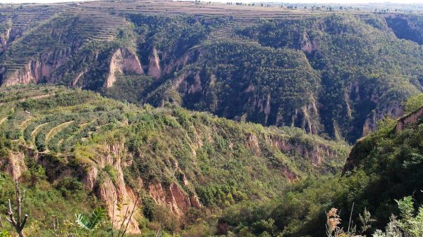 China’s fight against desertification should not be done at the cost of water security