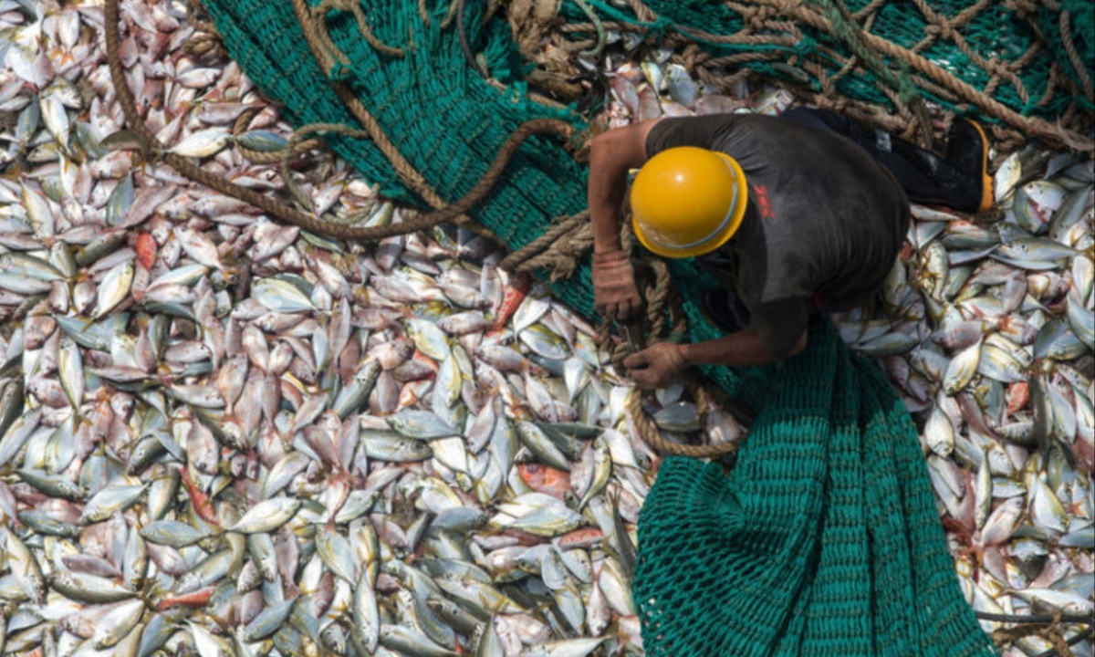Balancing Fisheries Subsidies and Marine Protection in Indonesia Challenges and Strategies