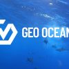 Australian Subsea Leaders Geo Oceans and Blue Ocean Merge Under Vertech Group