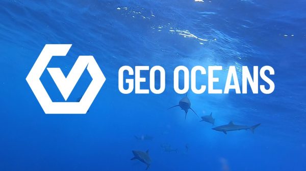 Australian Subsea Leaders Geo Oceans and Blue Ocean Merge Under Vertech Group