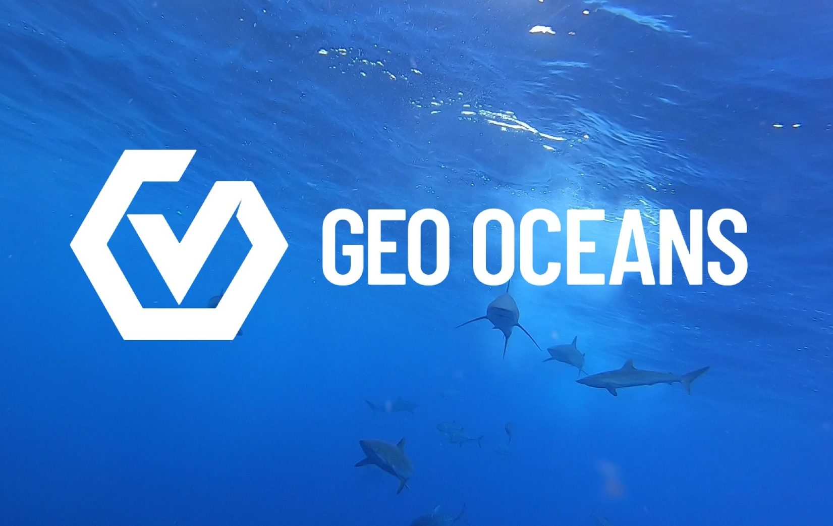 Australian Subsea Leaders Geo Oceans and Blue Ocean Merge Under Vertech Group