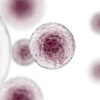 German Patient Cured of HIV: Significant Findings from Stem Cell Transplant with Partial CCR5 Mutation