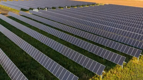 Minnesota Solar Developers Anticipate Grid Connection Relief with New Ombudsperson Legislation