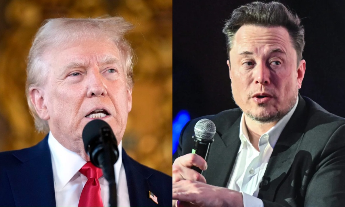 Donald Trump and Elon Musk