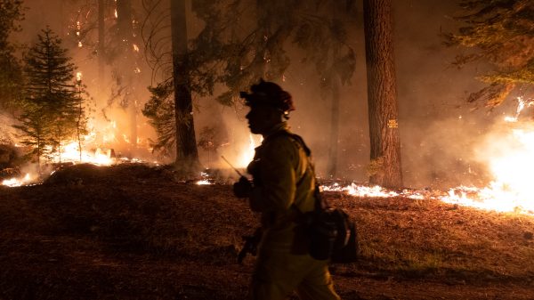 FEMA Faces Record Demand Amid Surge in Storms and Wildfires, Considers New Measures for Extreme Heat