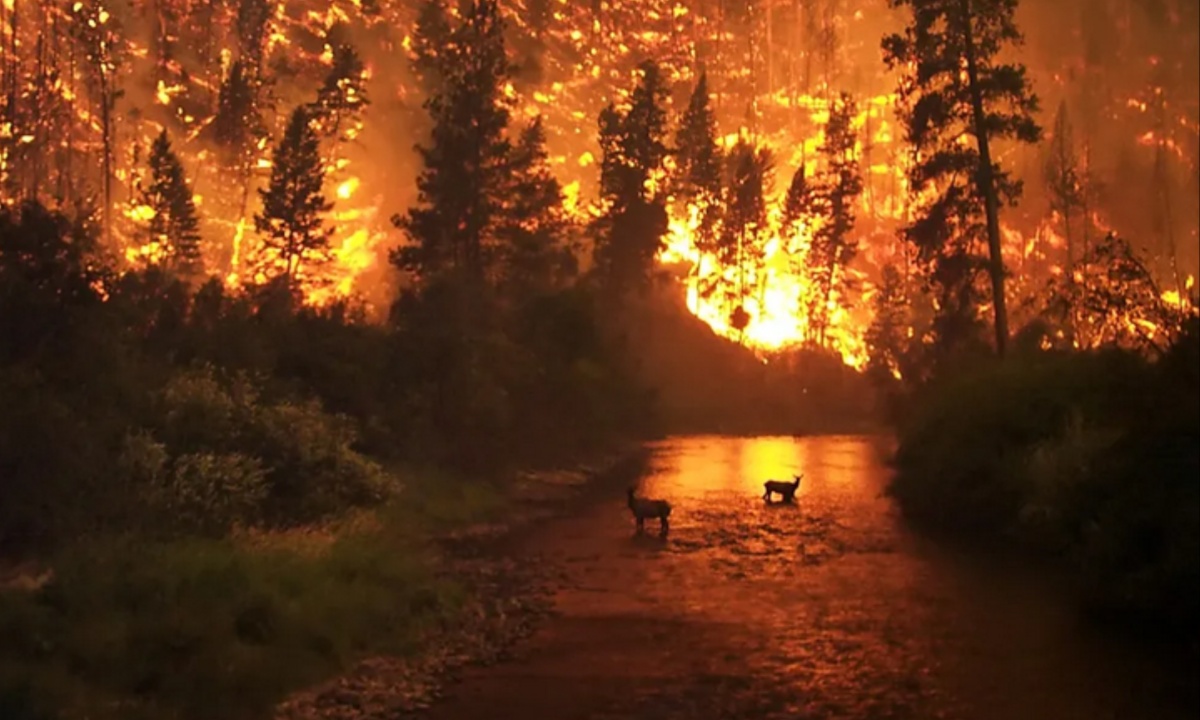 Pacific Crest Trail Faces Increased Wildfire Risks and Closures as Climate Change Alters Landscape