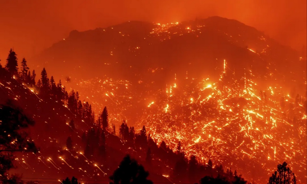 Pacific Crest Trail Faces Increased Wildfire Risks and Closures as Climate Change Alters Landscape