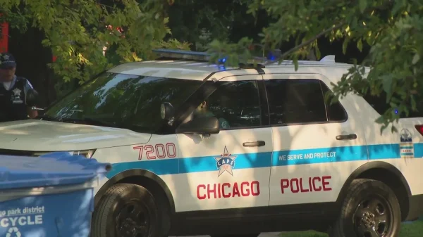 Chicago Police Warn of Near South Side Vehicle Thefts Involving Stolen Firearms Amid Rising Crime Wave