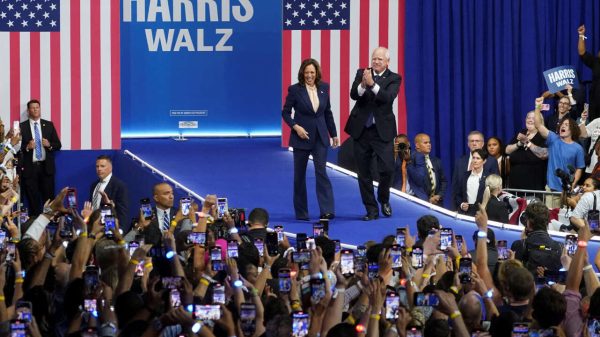 Media Amplifies Harris-Walz Campaign's 'Folksy' Branding Amid Criticism Over Emphasis on Joy