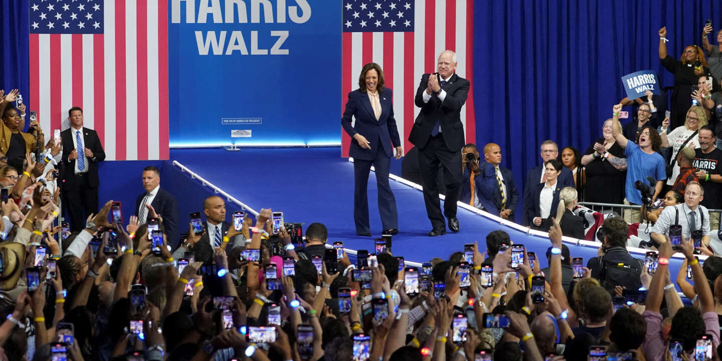 Media Amplifies Harris-Walz Campaign's 'Folksy' Branding Amid Criticism Over Emphasis on Joy