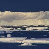 Antarctica's Ice Retreat Accelerates as Vegetation Expands, Revealing Climate Change Impact