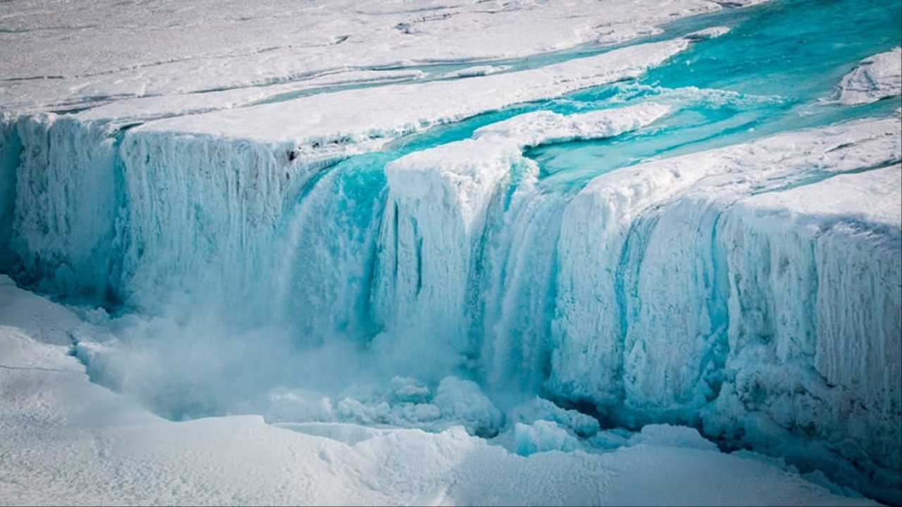 Antarctica's Ice Retreat Accelerates as Vegetation Expands, Revealing Climate Change Impact