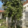 Preservation Battles Emerge as San Jose Faces Demolition of Historic Japanese-Owned Farm