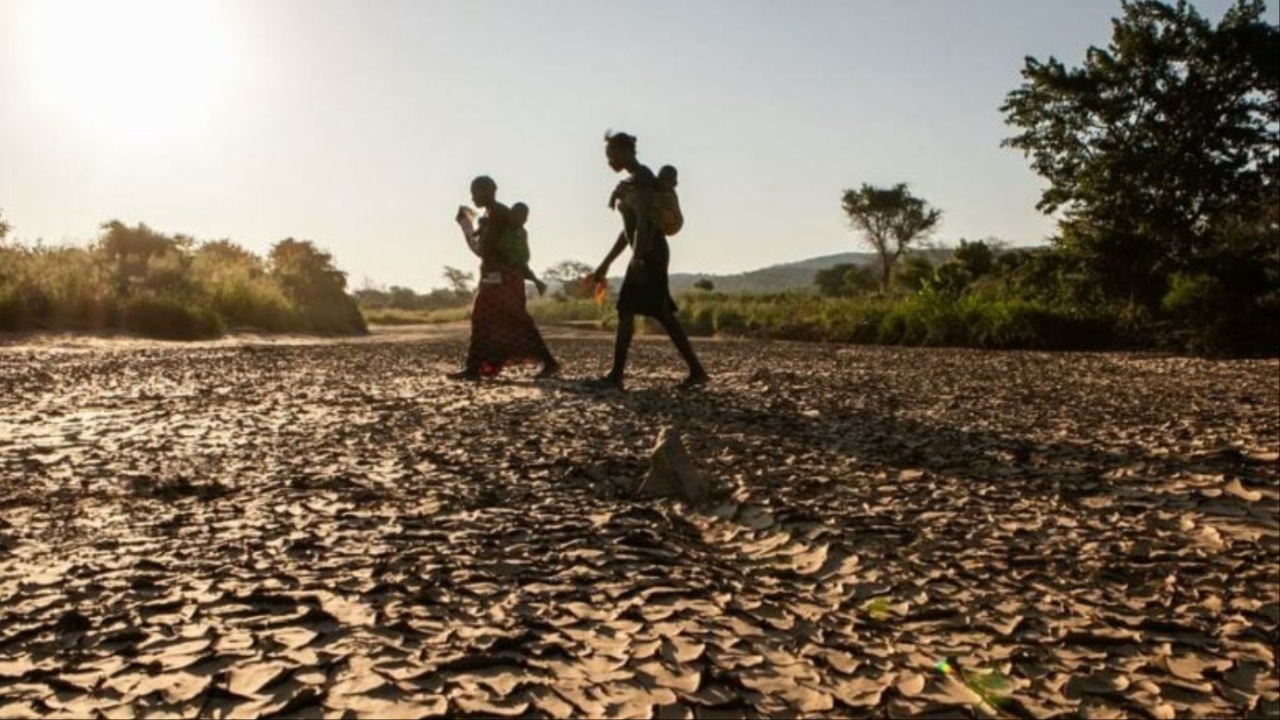 Southern Africa Faces Humanitarian Crisis Amid Severe Drought and El Niño Impact