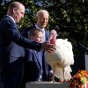 Critics Urge Biden to Use Clemency Powers for Criminal Justice Reform Amid Thanksgiving Turkey Pardoning