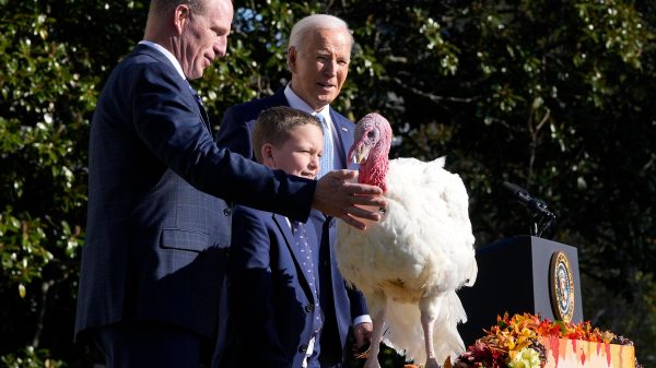 Critics Urge Biden to Use Clemency Powers for Criminal Justice Reform Amid Thanksgiving Turkey Pardoning