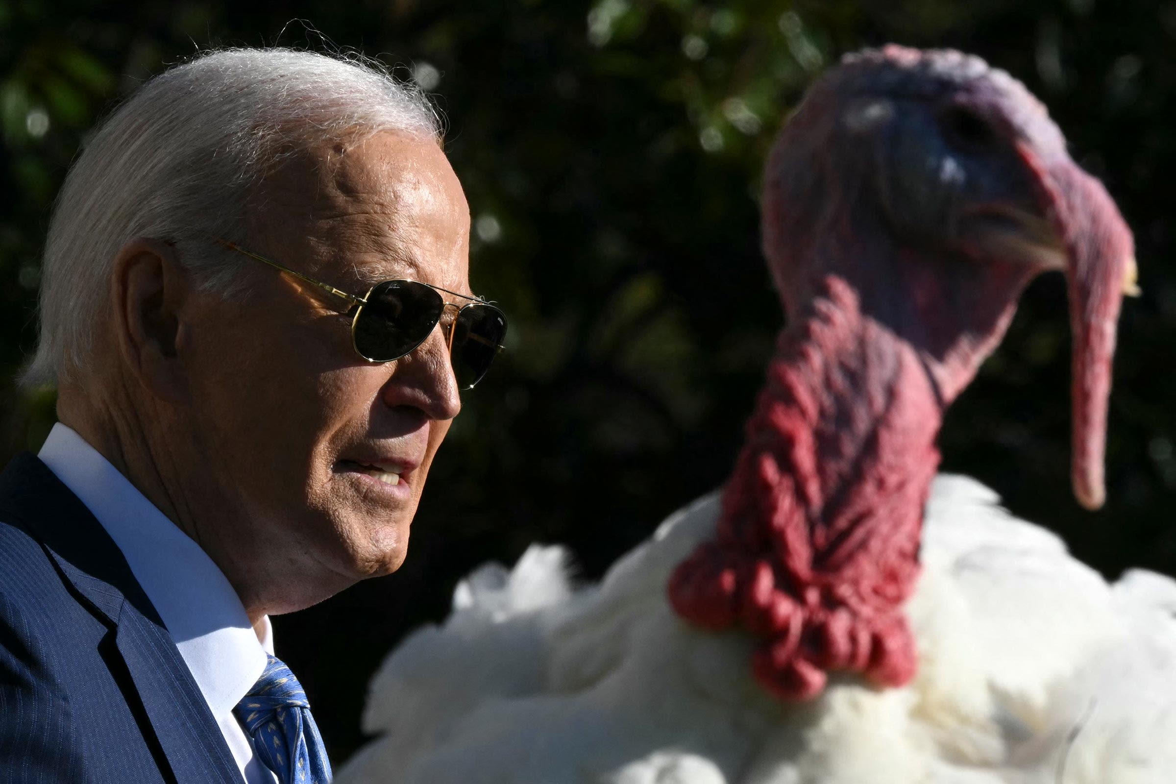 Critics Urge Biden to Use Clemency Powers for Criminal Justice Reform Amid Thanksgiving Turkey Pardoning