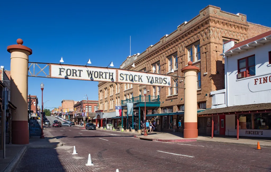 Fort Worth Onlookers Stunned as White Horse Rides Calmly in Pickup Truck Backseat