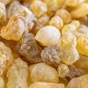 Asli Maydi Faces U.S. Sanctions Over Allegations of Forced Labor Practices in Frankincense Production