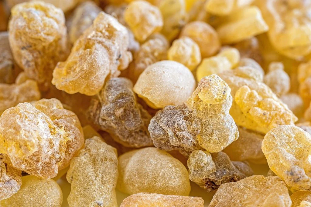 Asli Maydi Faces U.S. Sanctions Over Allegations of Forced Labor Practices in Frankincense Production