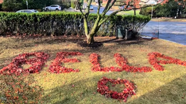 Man Pays Emotional Tribute to Late Dog Bella with Heartfelt Leaf Arrangement