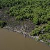 Reforesting Brazil to Combat Climate Change and Secure Water Through Forest Restoration