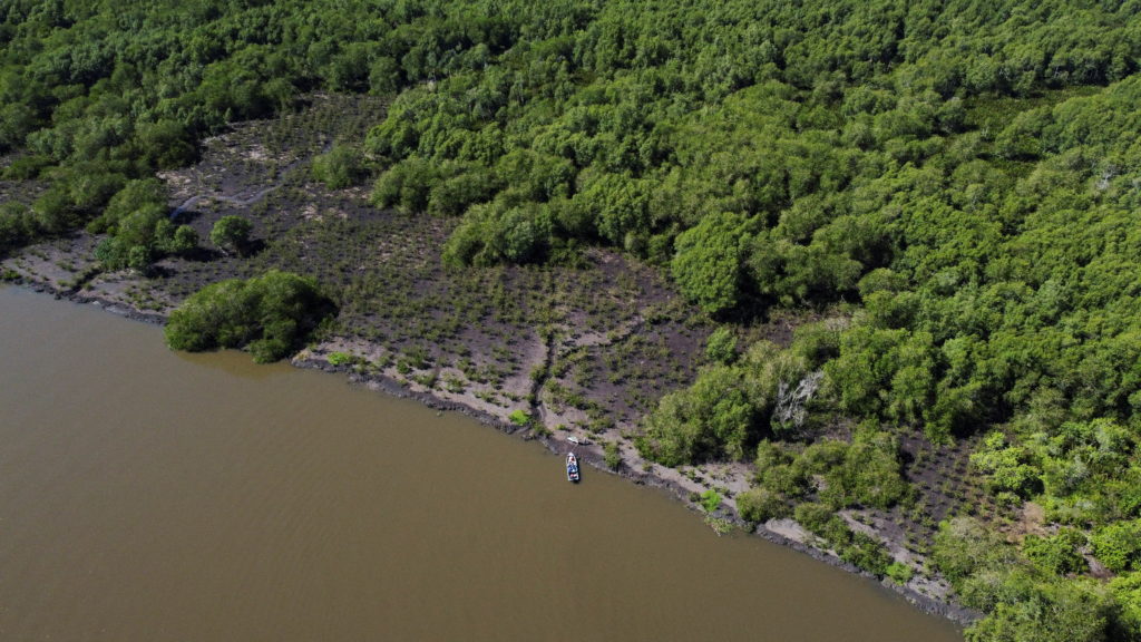 Reforesting Brazil to Combat Climate Change and Secure Water Through Forest Restoration