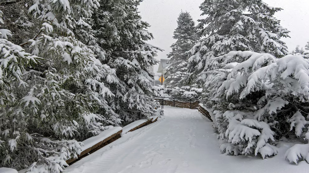 Thanksgiving Travel Faces Major Disruptions from Cold, Snow, and Rain Across Eastern U.S.