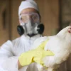 Unexplained H5N1 Cases in Children Fuel Fears of Evolving Virus Capable of Human Transmission