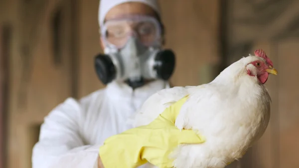 Unexplained H5N1 Cases in Children Fuel Fears of Evolving Virus Capable of Human Transmission