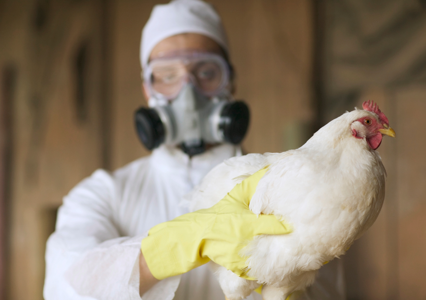 Unexplained H5N1 Cases in Children Fuel Fears of Evolving Virus Capable of Human Transmission