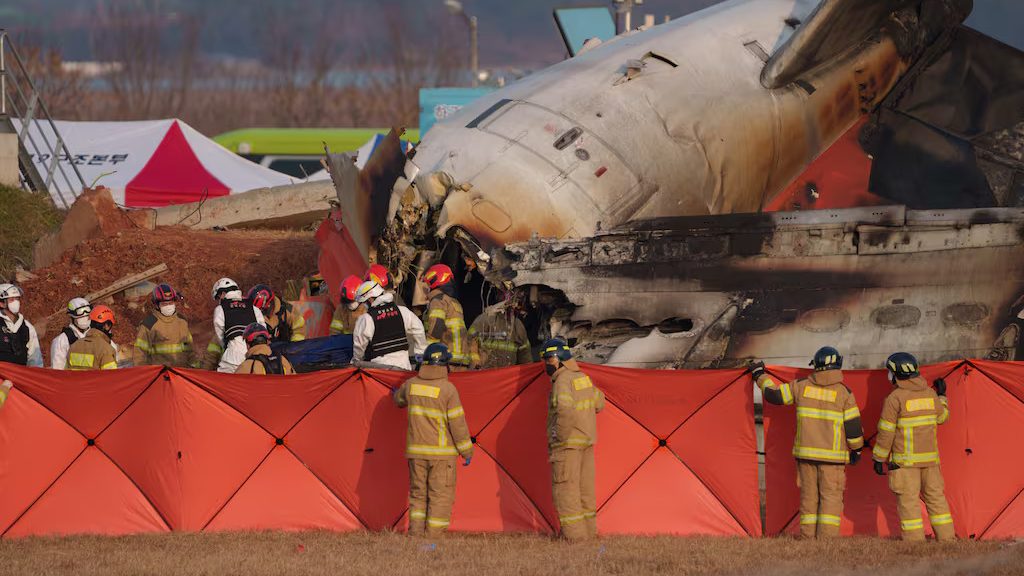 Jeju Air Flight 2216 Crash Highlights Bird Strike Risks and Aviation Safety Concerns