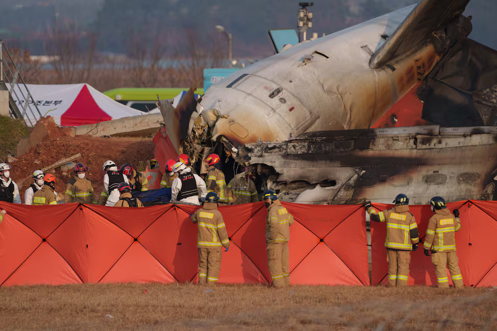 Jeju Air Flight 2216 Crash Highlights Bird Strike Risks and Aviation Safety Concerns