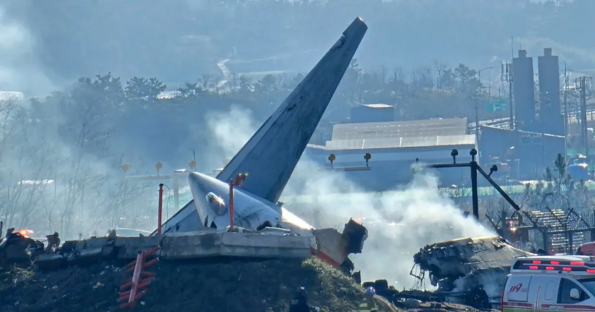 Jeju Air Flight 2216 Crash Highlights Bird Strike Risks and Aviation Safety Concerns