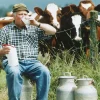 Mark McAfee’s Controversial Candidacy for FDA Role: Raw Milk Advocacy, Safety Concerns, and Legal Challenges