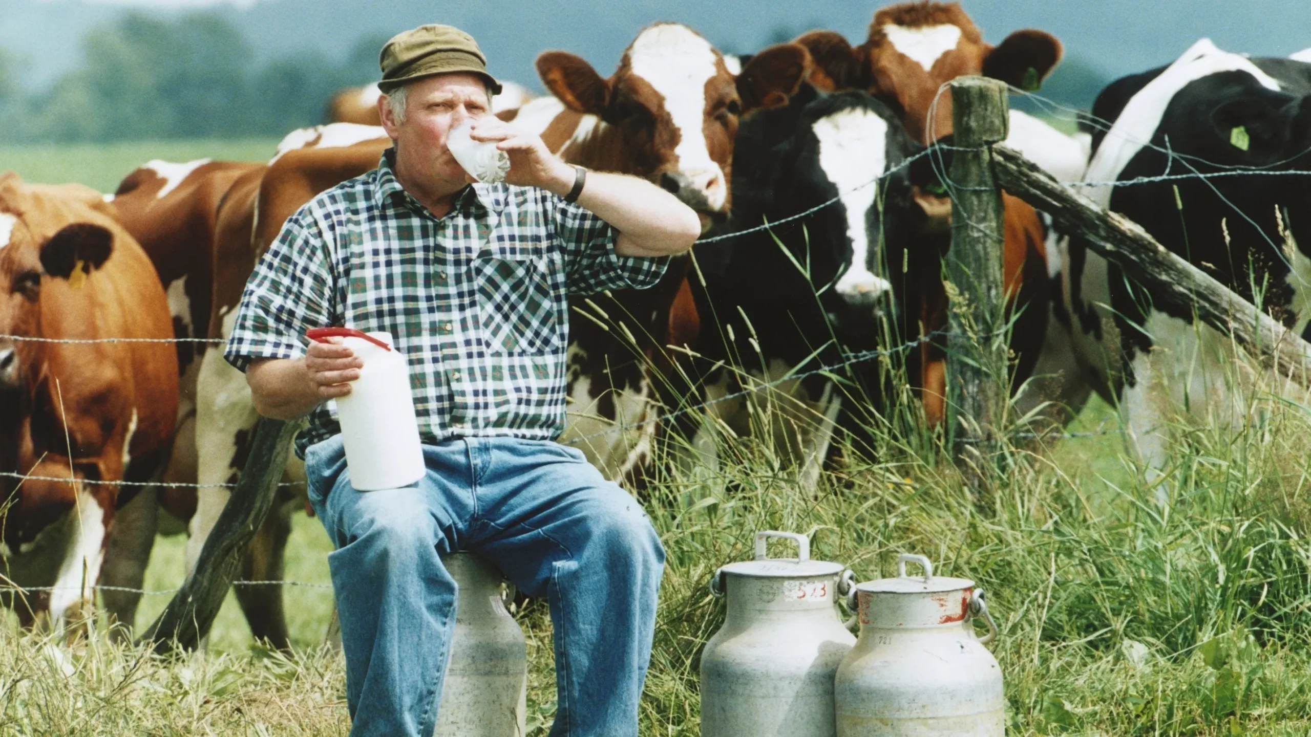 Mark McAfee’s Controversial Candidacy for FDA Role: Raw Milk Advocacy, Safety Concerns, and Legal Challenges