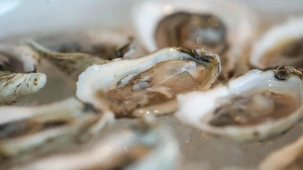 Norovirus Outbreak Linked to Raw Oysters at Los Angeles Times’ Restaurant Event, 80 Affected