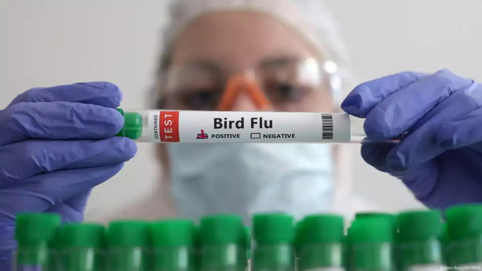 Rising H5N1 Threat Sparks Concerns Over U.S. Preparedness Amid Leadership and Policy Challenges