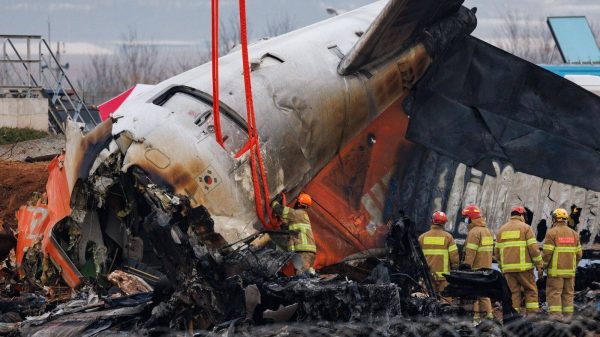 South Korean Airliner Crash at Muan Airport Kills 179, Investigating Bird Strike and Other Factors